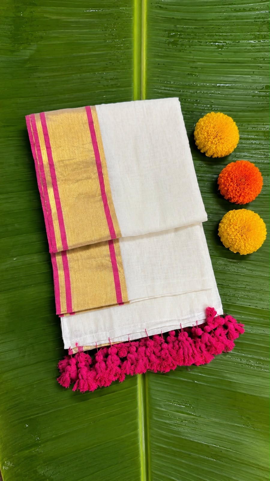 Kalyani – Off-White Mul Cotton Saree with Golden Zari & Rani Pink Border