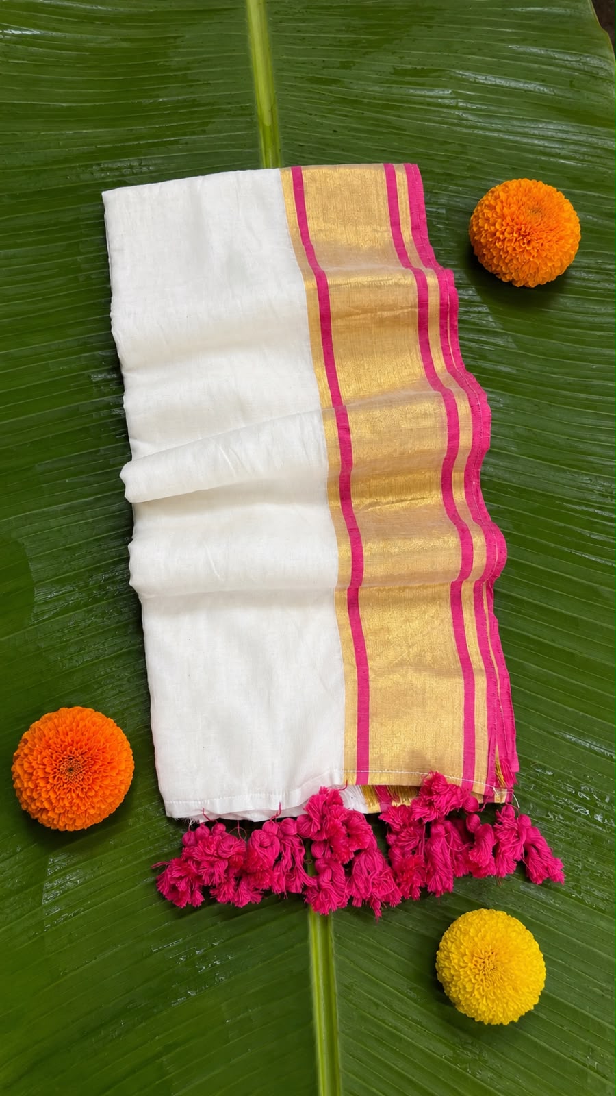 Kalyani – Off-White Mul Cotton Saree with Golden Zari & Rani Pink Border