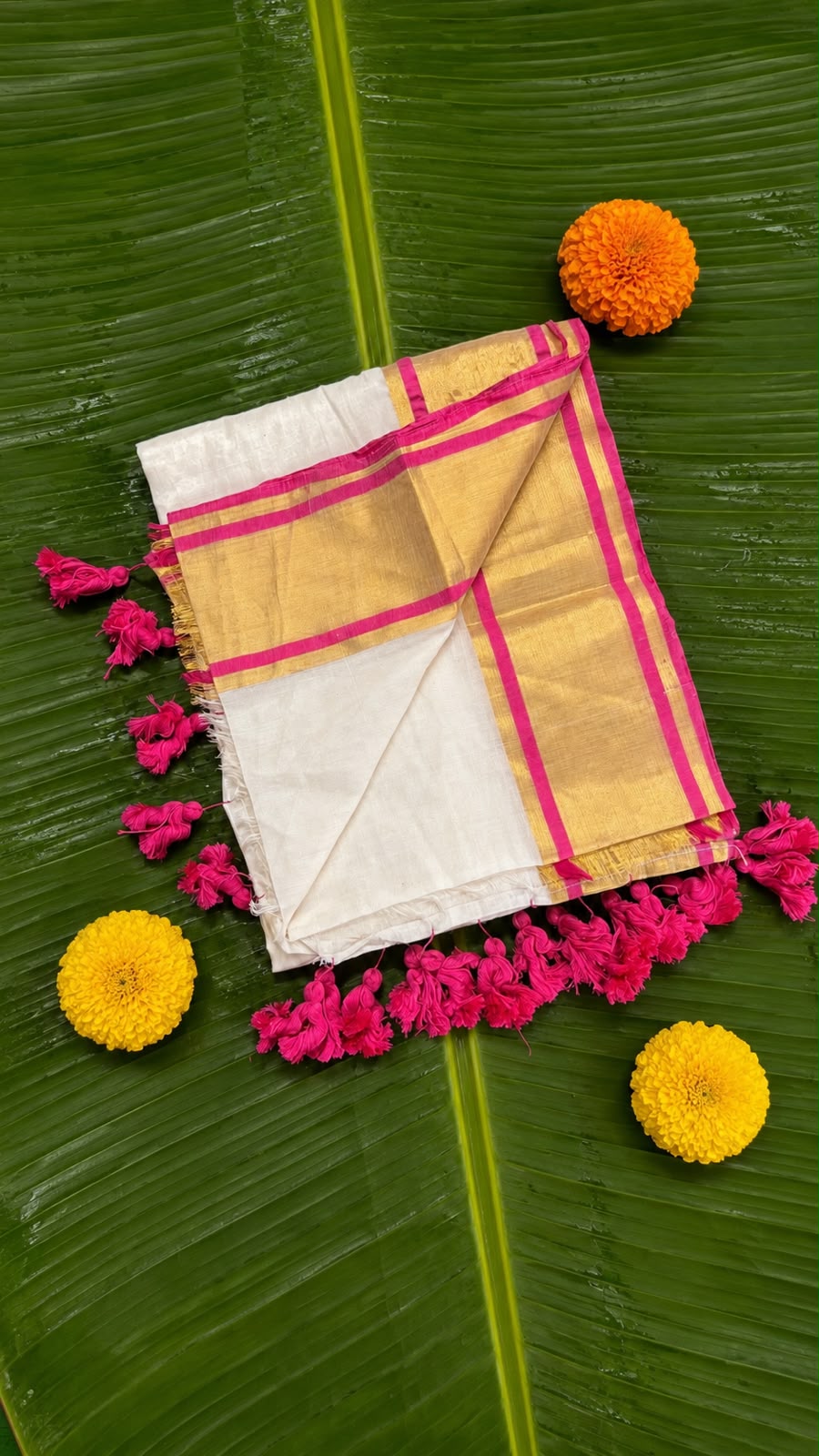 Kalyani – Off-White Mul Cotton Saree with Golden Zari & Rani Pink Border