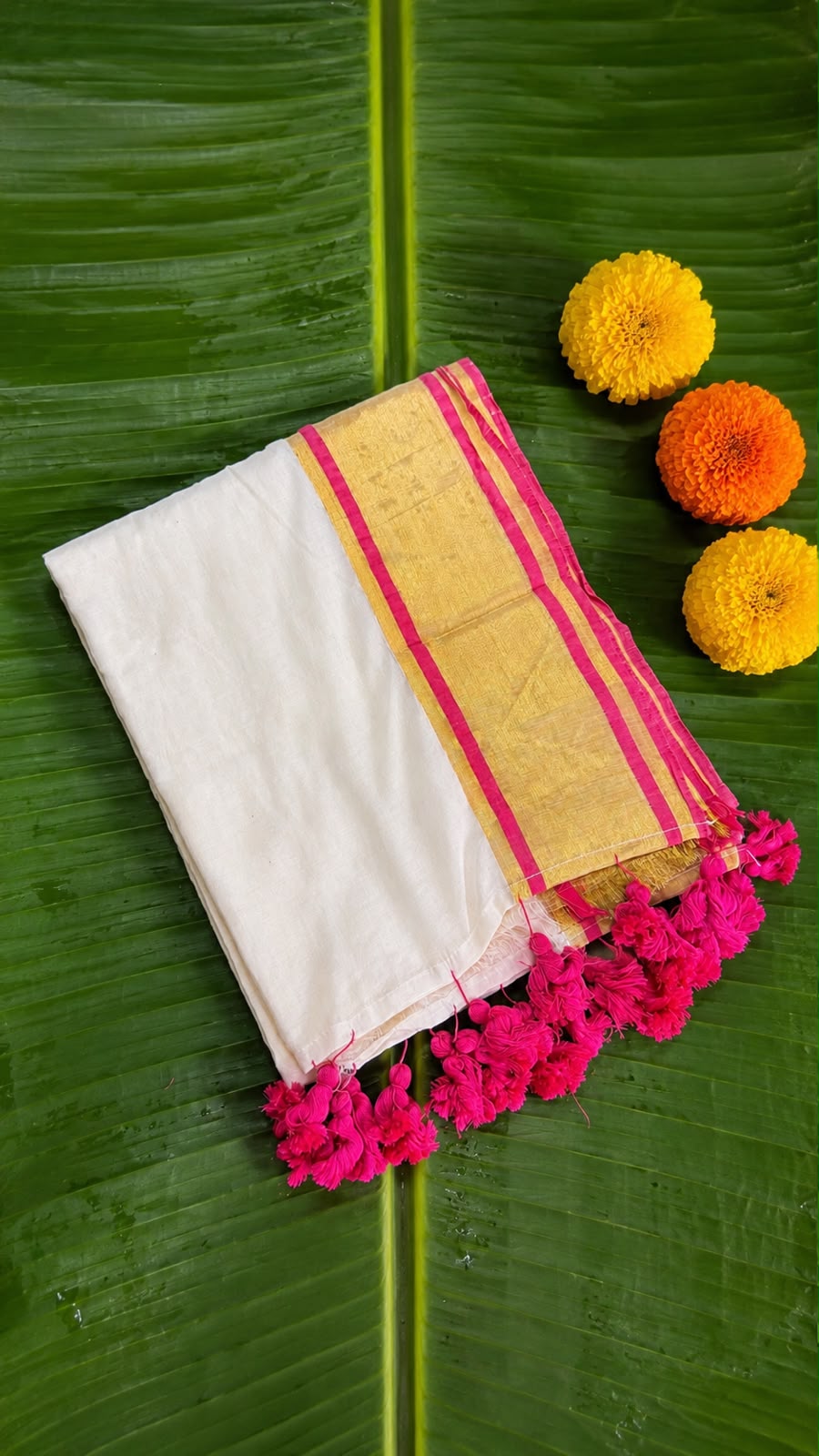 Kalyani – Off-White Mul Cotton Saree with Golden Zari & Rani Pink Border
