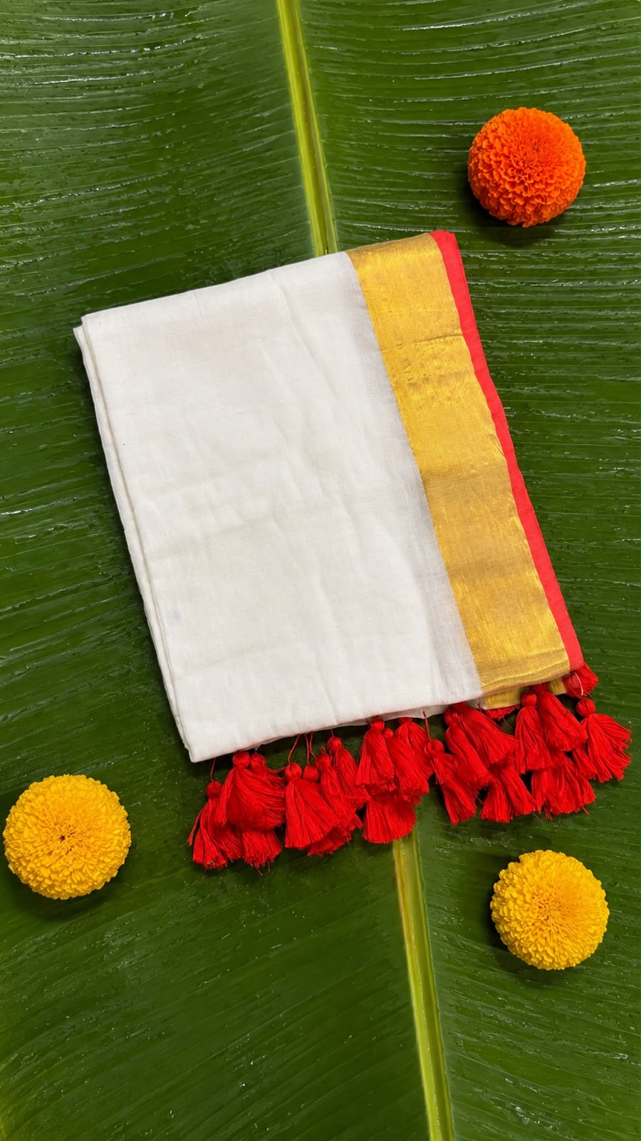 Chempakam – Off-White Mul Cotton Saree with Golden Zari & Red Border