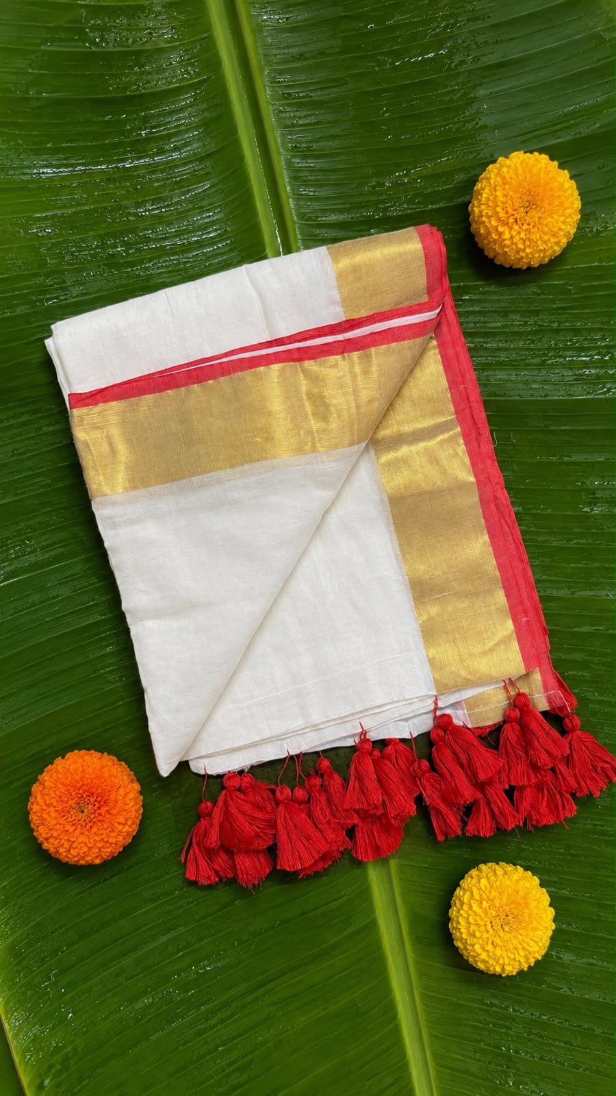 Chempakam – Off-White Mul Cotton Saree with Golden Zari & Red Border